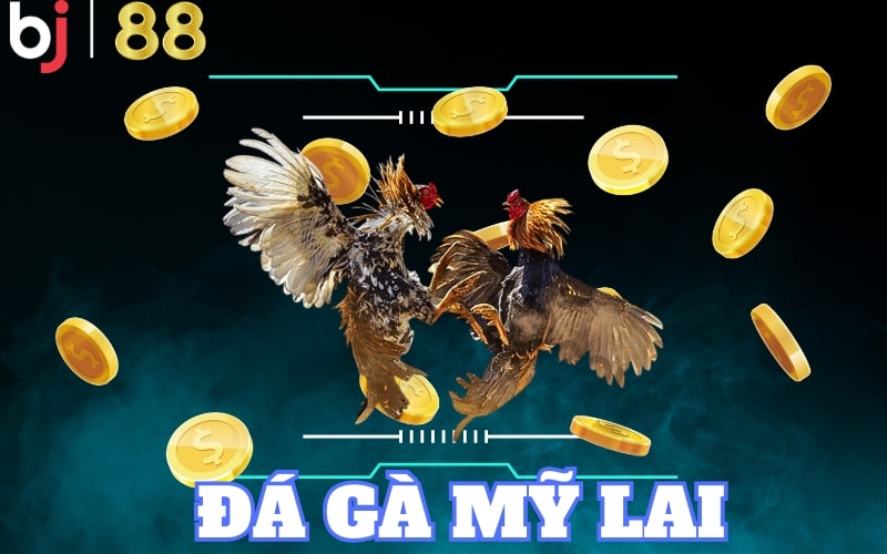 đá gà mỹ lai Tham gia đá gà Mỹ lai tại BJ88 để trải nghiệm trọn vẹn cá cược
