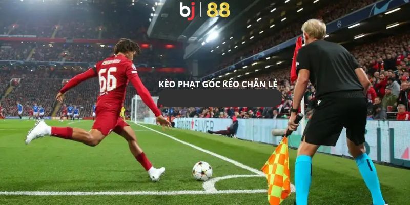 Kèo Phạt Góc Phổ Biến Dành Trọn Sự Tin Yêu Của Khách Hàng Cược chẵn lẻ trong kèo đá phạt góc